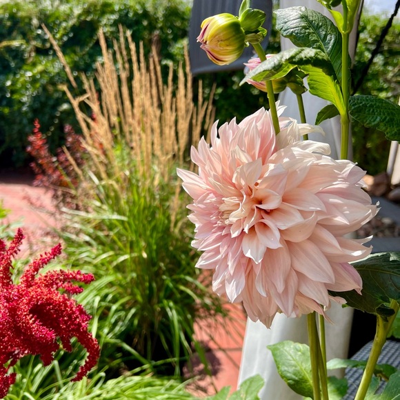 Meet your Posher, Debranne - Picture 12 of 15